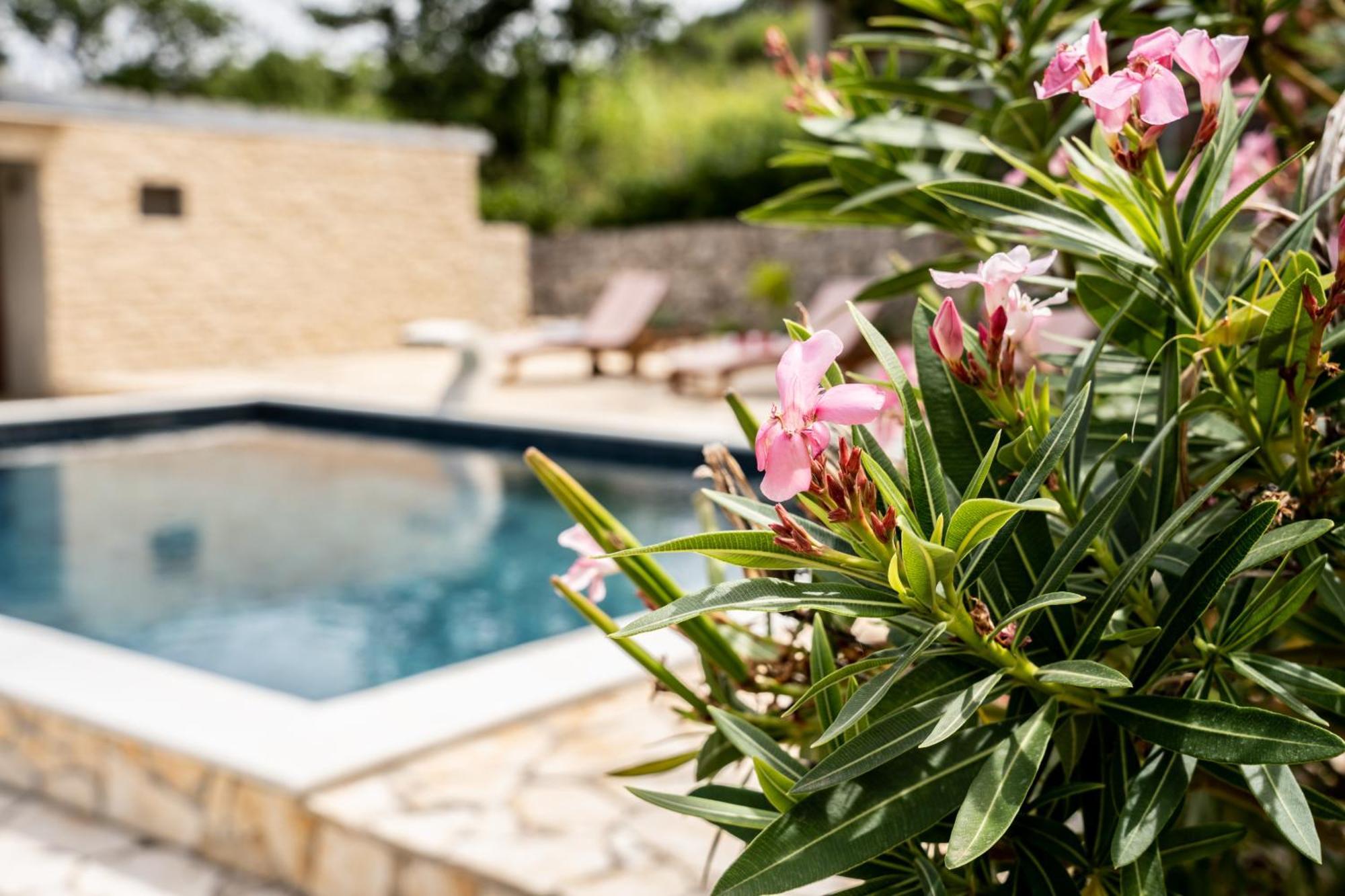 Villa Pag Dubrava Relax With Pool Bosana Екстер'єр фото